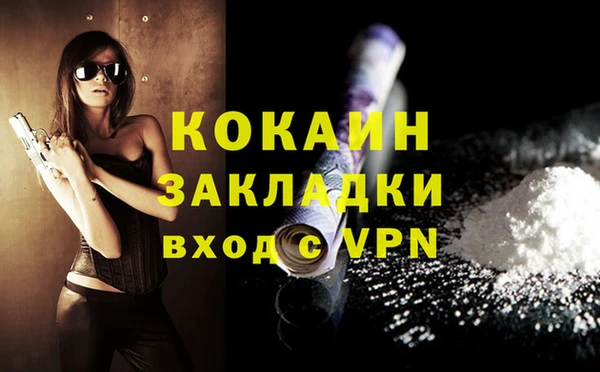 PSILOCYBIN Верея