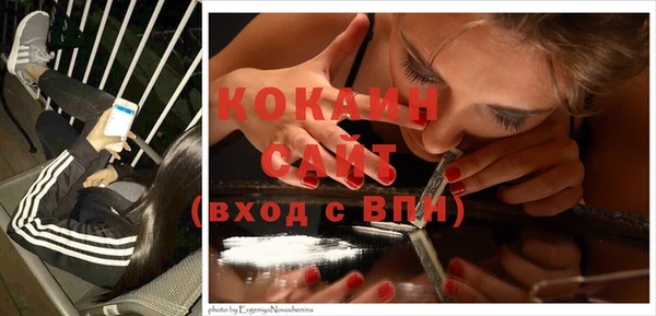 PSILOCYBIN Верея