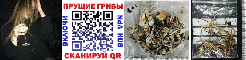 Галлюциногенные грибы GOLDEN TEACHER  Каменка 